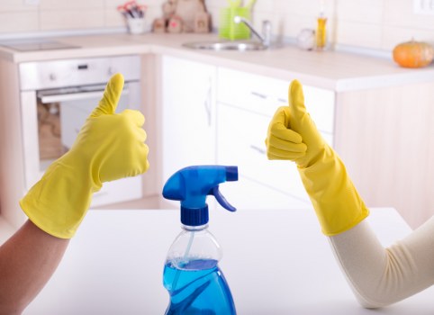 Fresh clean home after pet stain odour removal in Old Oak Common