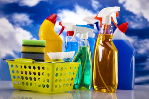 Professional carpet cleaning team carrying out a safety check