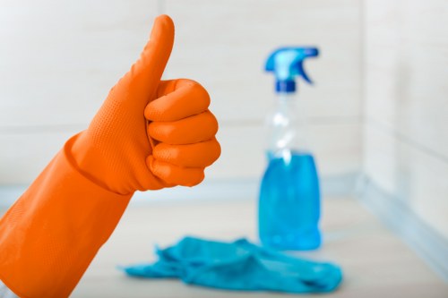 Stain removal and carpet maintenance in Old Oak Common