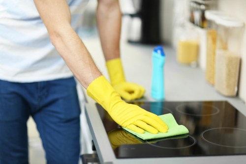 Professional pet odour cleaning in Old Oak Common on upholstery